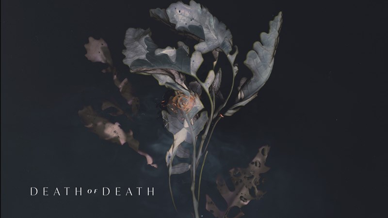 Death of Death